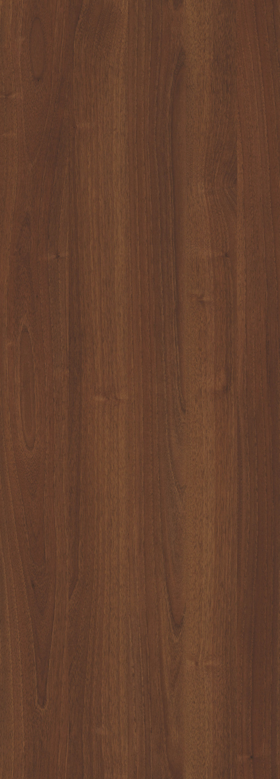 TINTORETTO  WALNUT