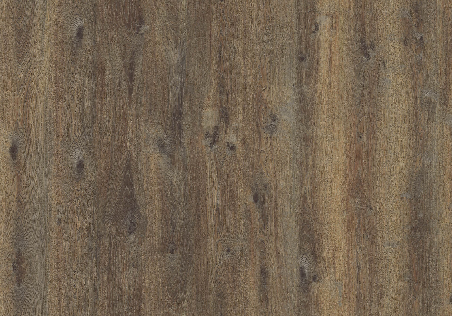 BELLE EPOQUE OAK